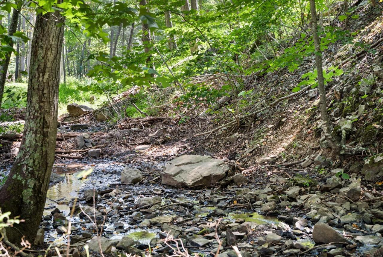 River Access W Hot Tub, Grill, Wifi, & Fire Pit! Lost City Exterior photo